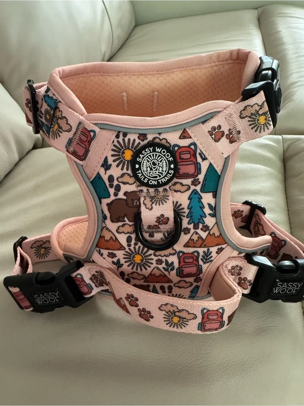 Sassy Woof dog harness